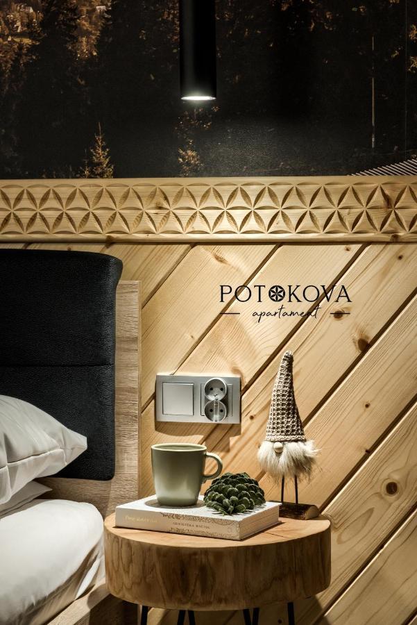 Potokova Apartament Centrum Zakopane Exteriér fotografie