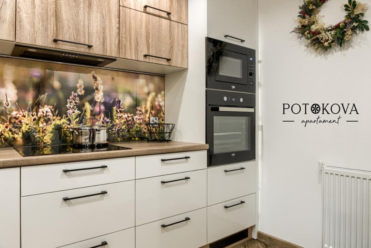 Potokova Apartament Centrum Zakopane Exteriér fotografie