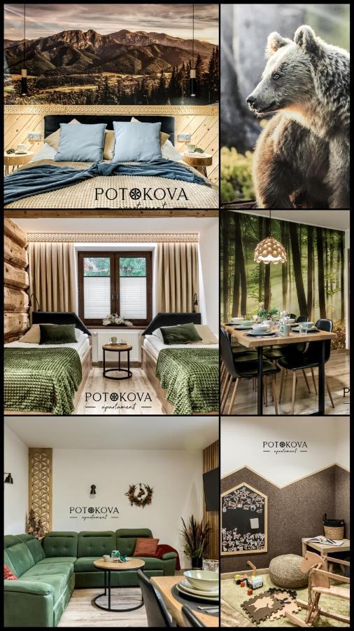 Potokova Apartament Centrum Zakopane Exteriér fotografie